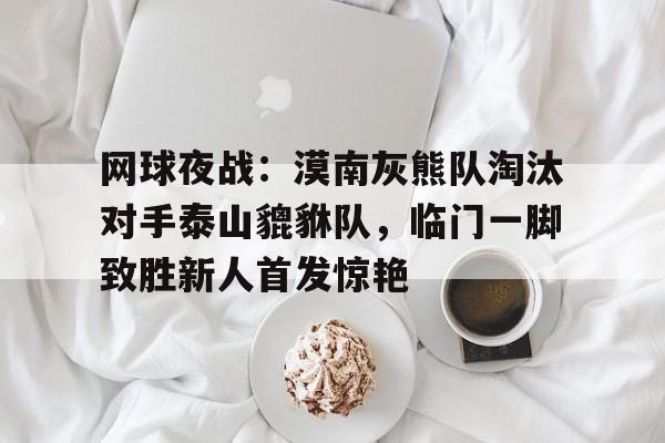 开云kaiyun网站app下载 - 网球夜战：漠南灰熊队淘汰对手泰山貔貅队，临门一脚致胜新人首发惊艳